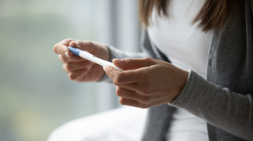 Conception - Pregnancy - Home Pregnancy Test